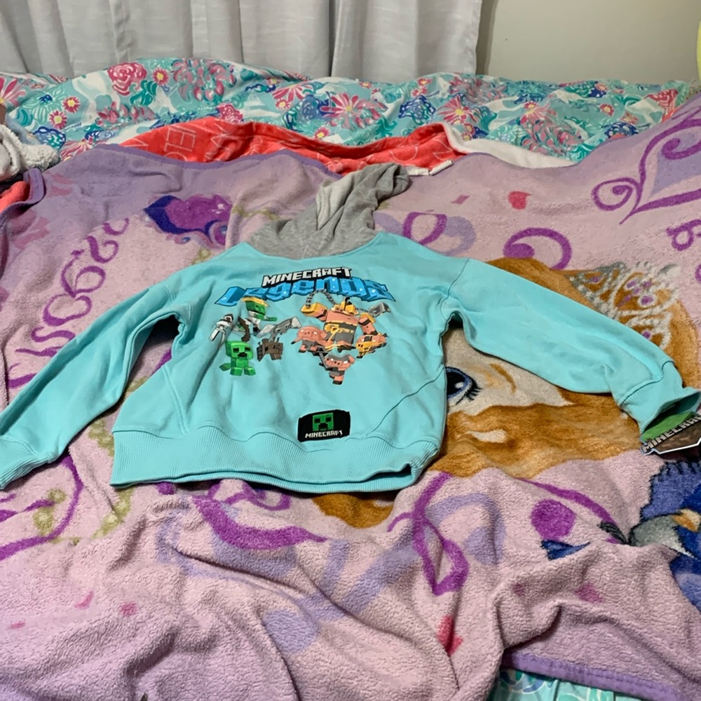 Minecraft hoodie